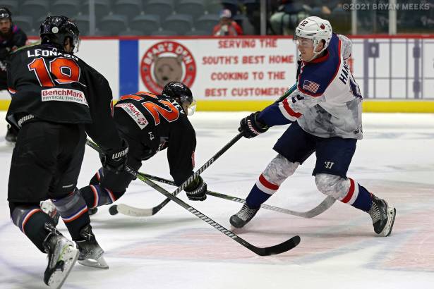Macon Mayhem 211113_DN_IMG_3577_MHP