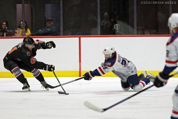 Macon Mayhem 211113_DN_IMG_2894_MHP