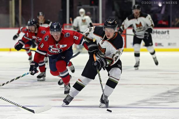 Macon Mayhem 211114_DN_IMG_0683_MHP