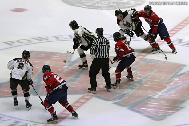 Macon Mayhem 220218_DN_IMG_1448_MHP