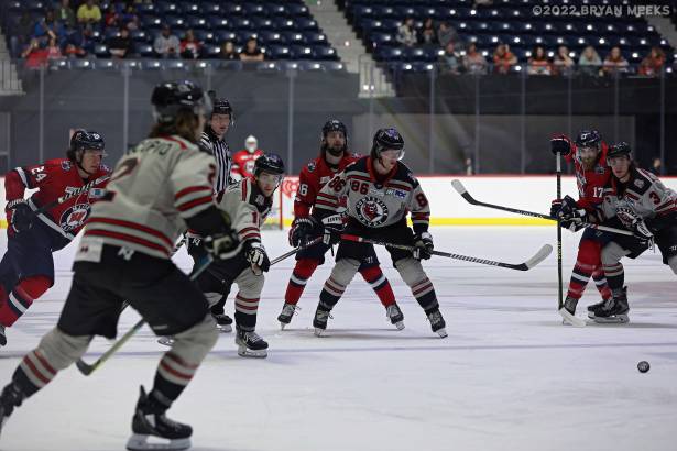 Macon Mayhem 220225_DN_IMG_1179_MHP