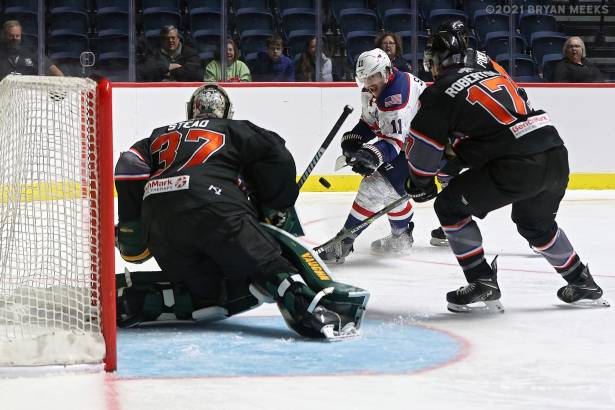 Macon Mayhem 211113_DN_IMG_2019_MHP