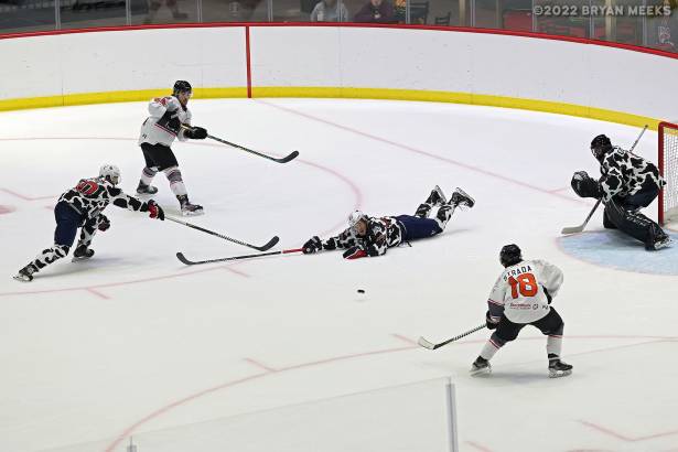 Macon Mayhem 220115_DN_IMG_4272_MHP