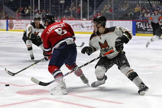 Macon Mayhem 220304_DN_IMG_2441_MHP