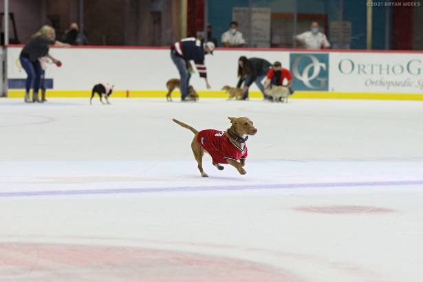 Macon Mayhem 210403_DN_IMG_1055_MPH