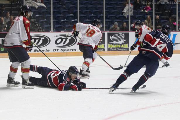 Macon Mayhem 191108_IMG_7248_MHP