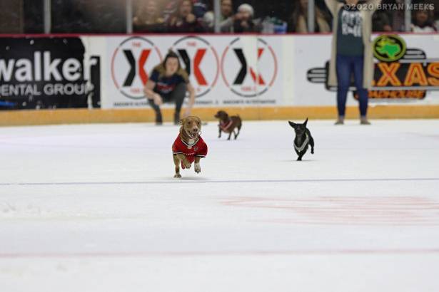 Macon Mayhem 200222_IMG_8102_MHP