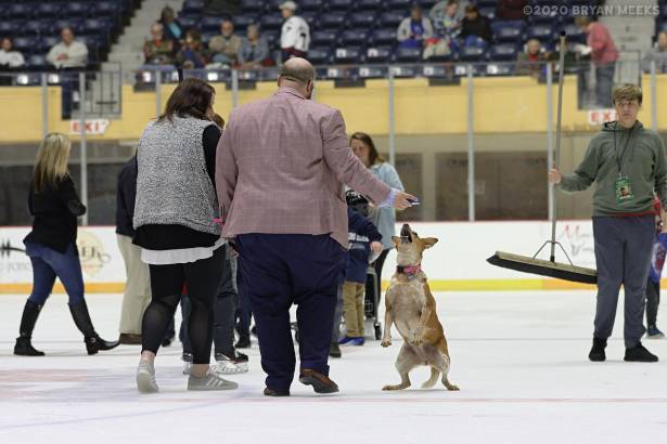 Macon Mayhem 200222_IMG_9115_MHP