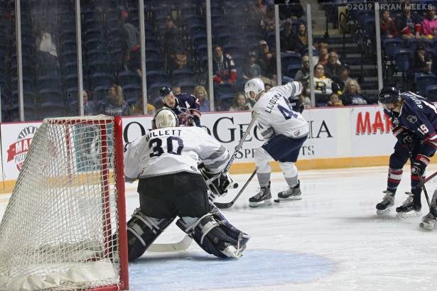 Macon Mayhem 190208_IMG_4482_MHP