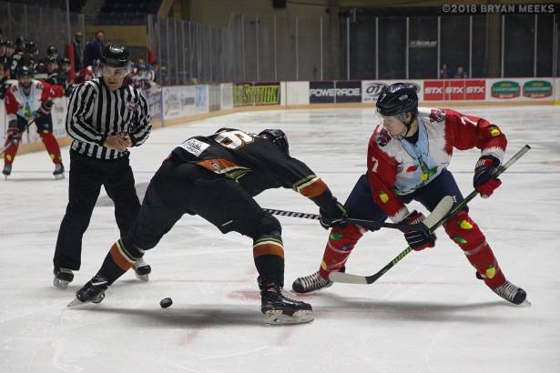 Macon Mayhem 181214_IMG_0198_MHP