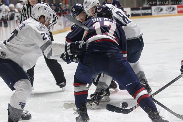 Macon Mayhem 190208_IMG_6094_MHP