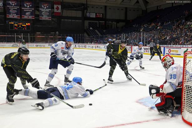 Macon Mayhem_250111_IMG_3139_MHP