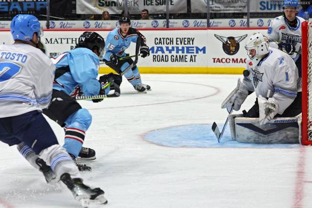 Macon Mayhem_250110_IMG_3989_MHP