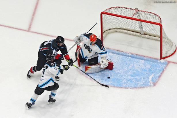 Macon Mayhem_250124_IMG_5293_MHP