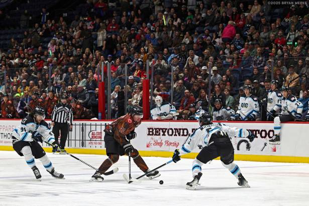 Macon Mayhem_250125_IMG_1999_MHP