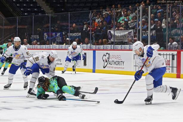 Macon Mayhem_250222_IMG_2635_MHP