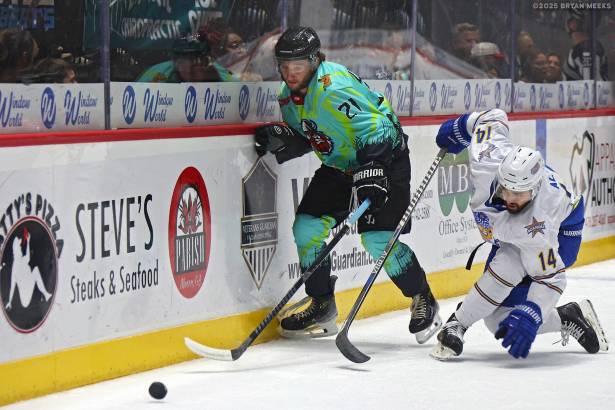 Macon Mayhem_250222_IMG_1950_MHP