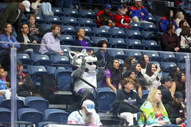 Macon Mayhem_250315_IMG_3397