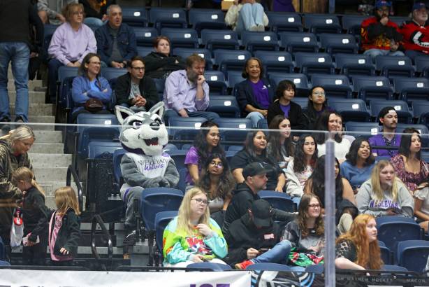 Macon Mayhem_250315_IMG_3353