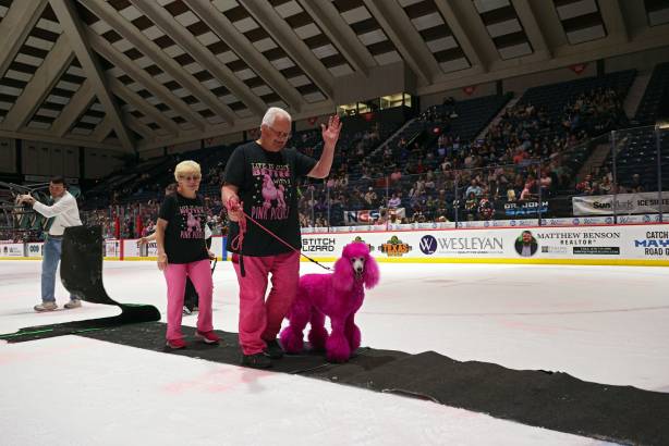 Macon Mayhem_250322_IMG_3061