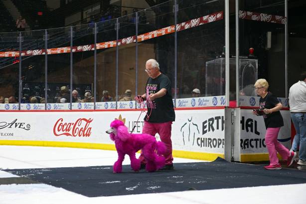 Macon Mayhem_250322_IMG_2856