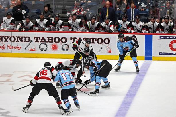 Macon Mayhem_250405_IMG_6530_MHP