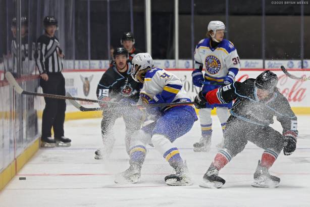 Macon Mayhem_251121_IMG_1803_MHP