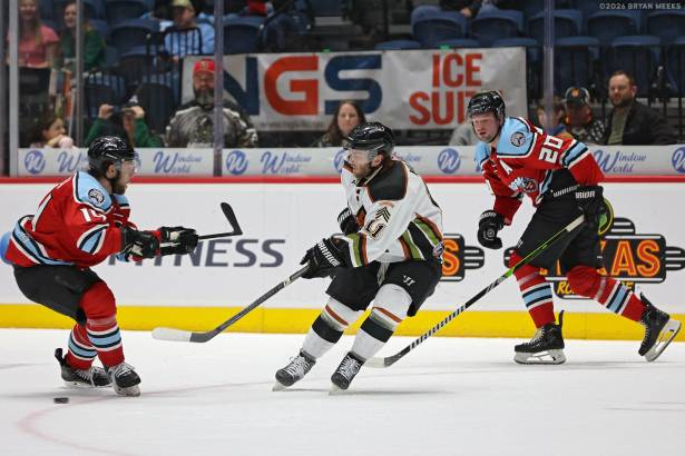 Macon Mayhem_260102_IMG_2861_MHP