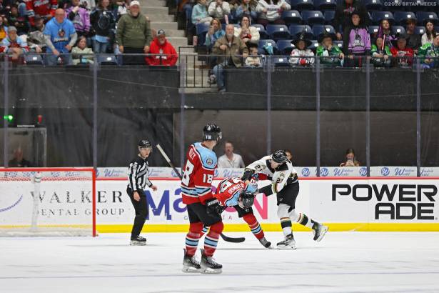 Macon Mayhem_260102_IMG_2941