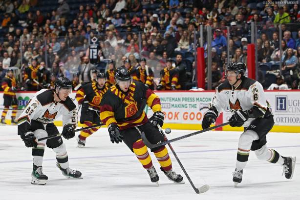 Macon Mayhem_260103_IMG_1505_MHP
