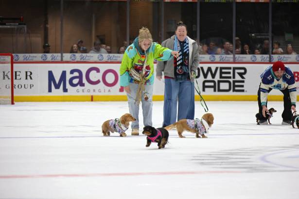 Macon Mayhem_260117_IMG_2386