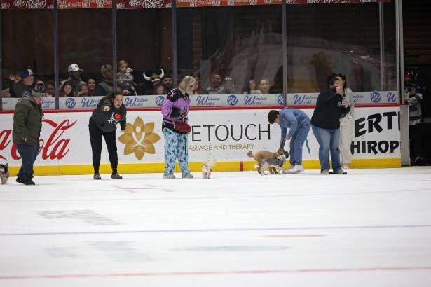 Macon Mayhem_260117_IMG_2244