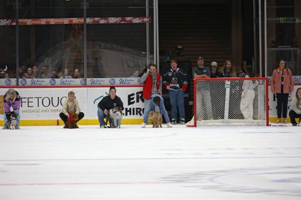 Macon Mayhem_260117_IMG_2230