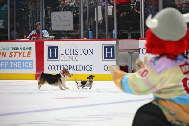 Macon Mayhem_260117_IMG_3515