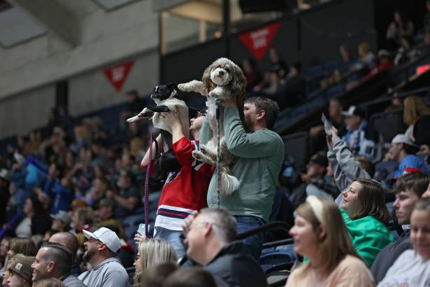 Macon Mayhem_260117_IMG_4302