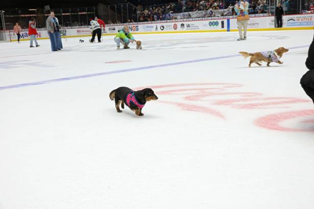 Macon Mayhem_260117_IMG_2416
