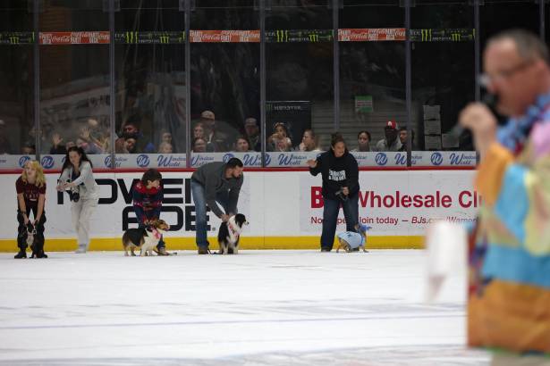 Macon Mayhem_260117_IMG_2225