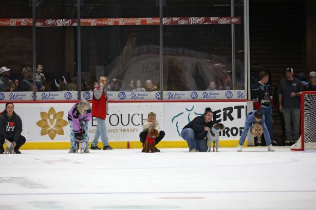 Macon Mayhem_260117_IMG_2219