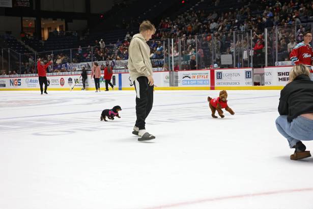 Macon Mayhem_260117_IMG_3564
