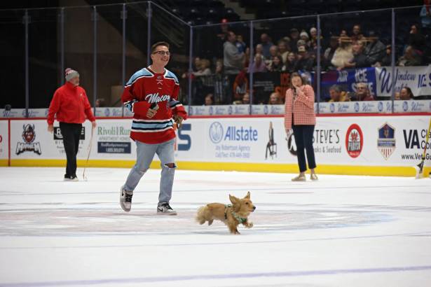 Macon Mayhem_260117_IMG_3551
