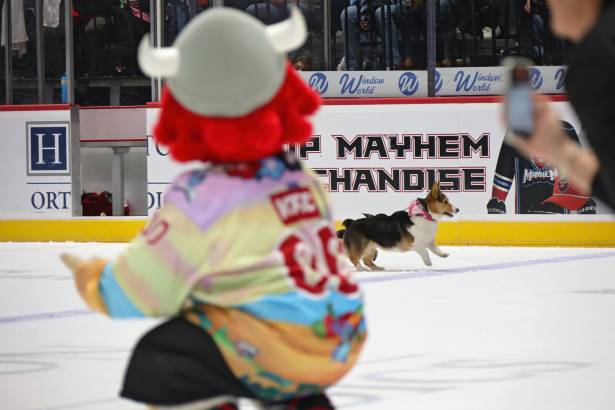 Macon Mayhem_260117_IMG_3519