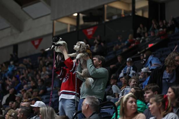 Macon Mayhem_260117_IMG_4286