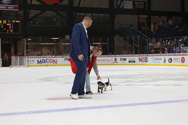 Macon Mayhem_260117_IMG_2439