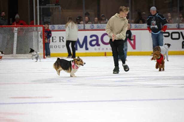 Macon Mayhem_260117_IMG_2277