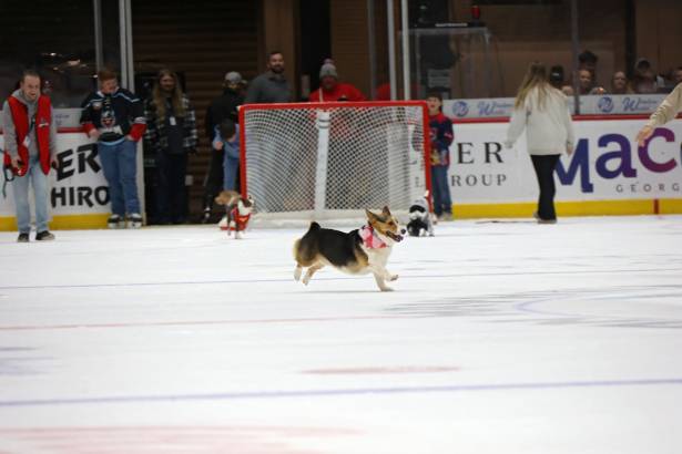 Macon Mayhem_260117_IMG_2275
