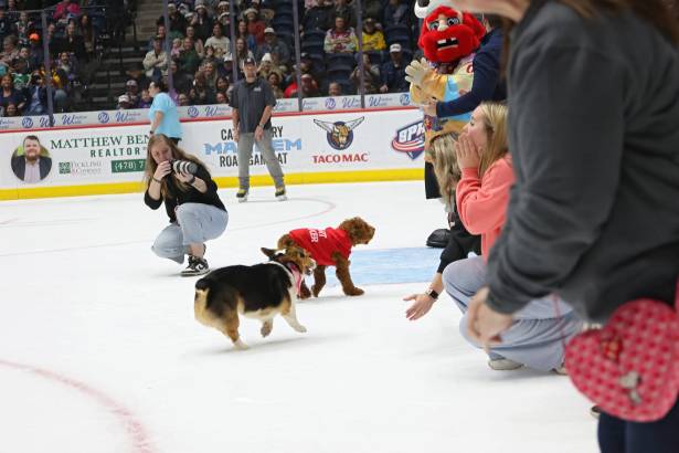 Macon Mayhem_260117_IMG_2299