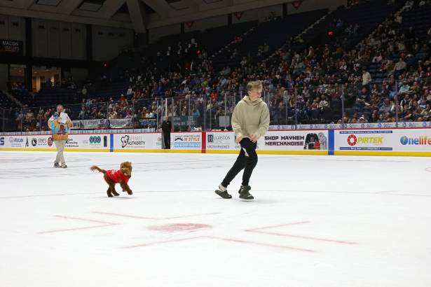 Macon Mayhem_260117_IMG_2288