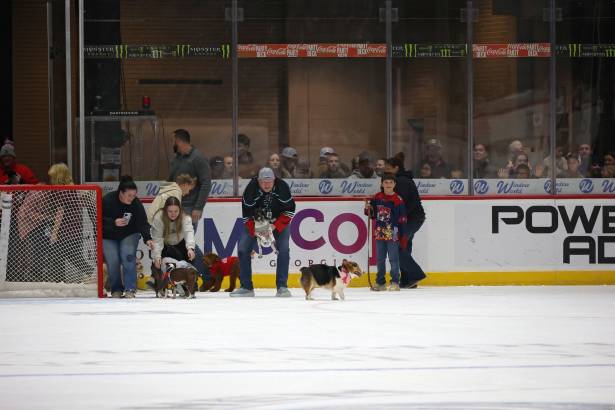 Macon Mayhem_260117_IMG_2254