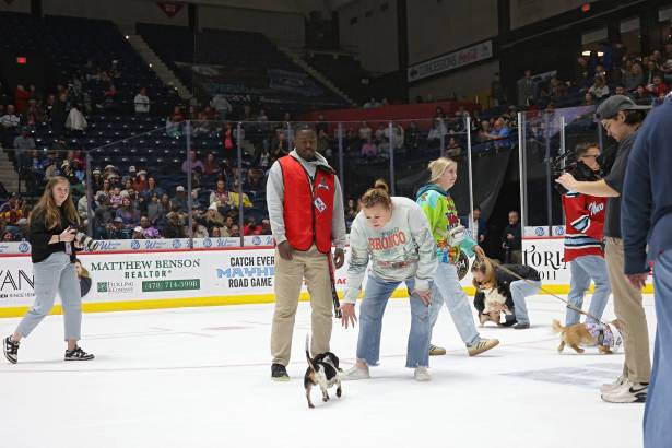 Macon Mayhem_260117_IMG_3574