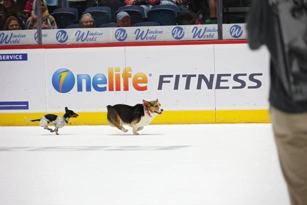 Macon Mayhem_260117_IMG_3524